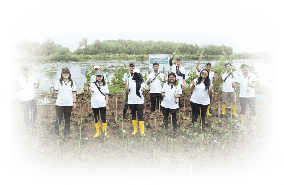 Program Image